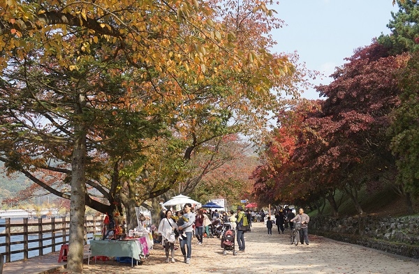 사진=안동시