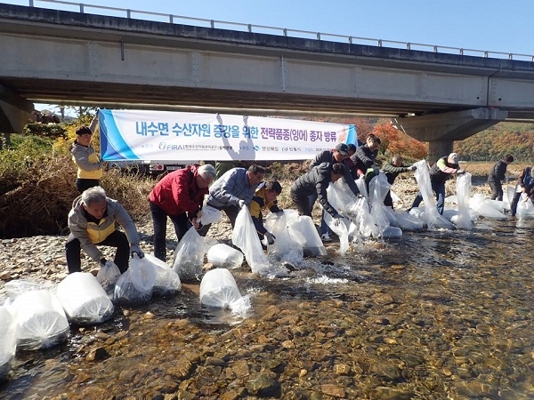 사진=FIRA 동해본부