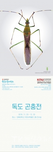 사진=경북도