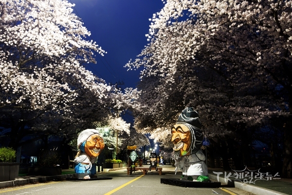 벚꽃축제  사진=안동시