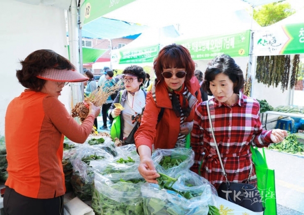 사진=영양군