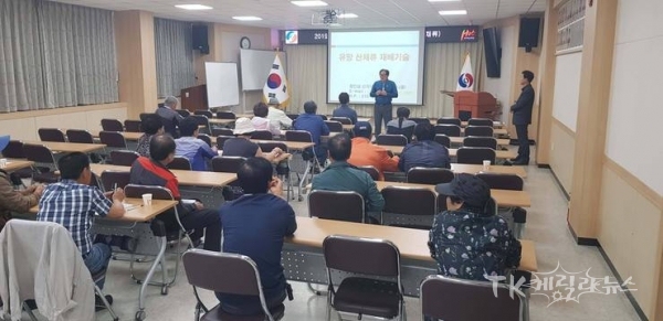 사진=영양군 농업기술센터