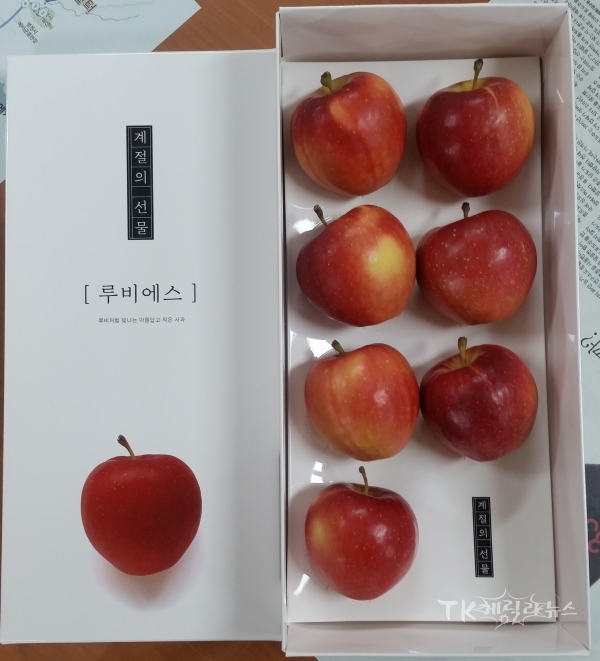 루비에스. 사진=영천시