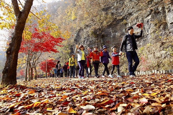 영양군 외씨버선길. 사진=경북도