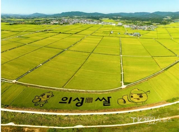 사진=의성군