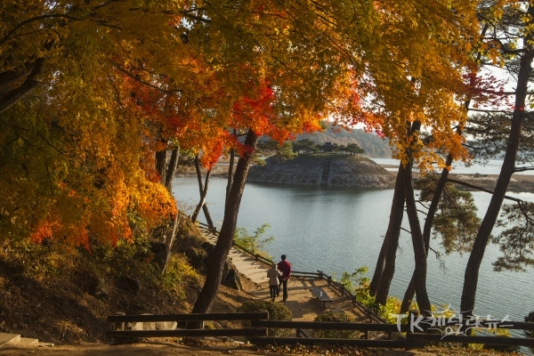 2코스 도산서원(도산서원 방향에서 본시사단).  사진=안동시