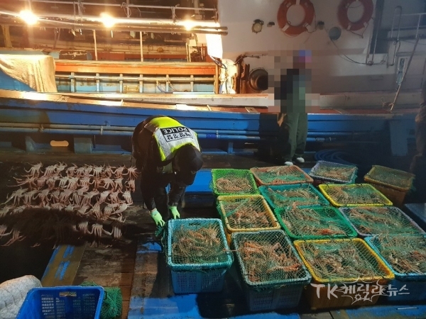 불법 포획 대게 단속 장면. 사진=포항해경