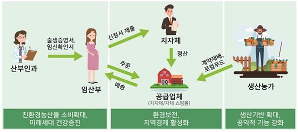 임산부 친환경농산물 지원사업 절차도. 사진=경북도