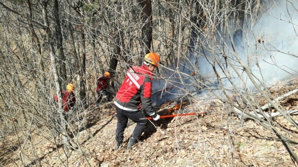 산불진화 참고사진 지상진화