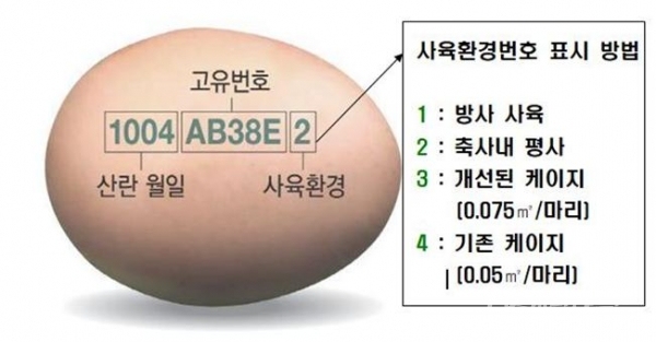 달걀껍데기 산란일자 표시. 사진=경북도