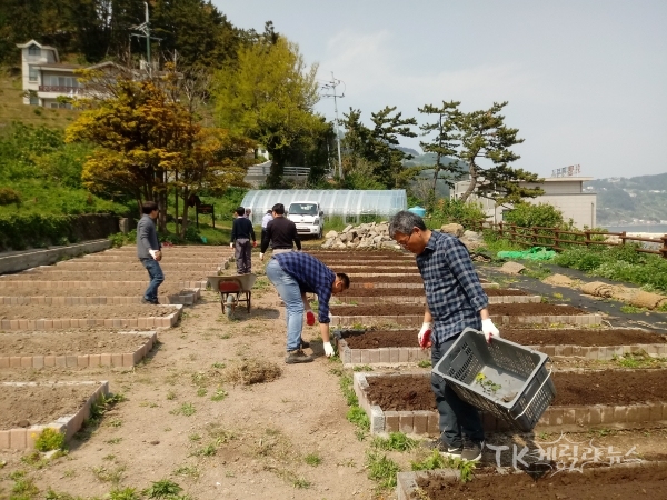 사진=울릉군