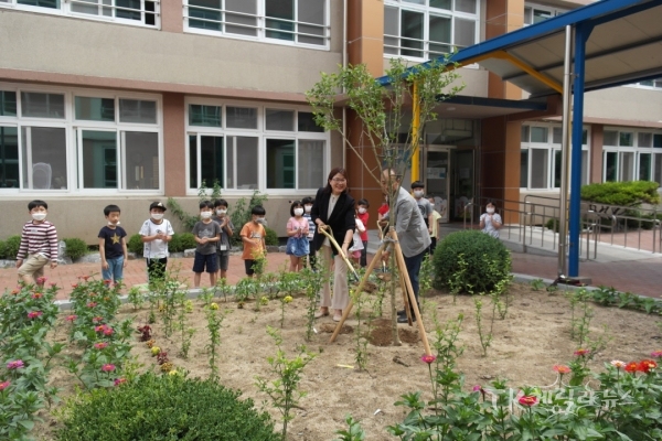 ‘안동무궁화 기념식수’행사를 하고 있다. 사진=안동초등