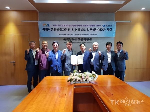 사진=경북도