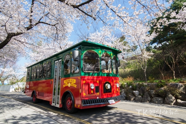 트롤리버스. 사진=안동시