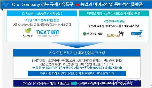 경북 산업용헴프 규제자유특구 지정에 따른 조직개편. 사진=안동시