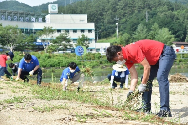 사진=청송군