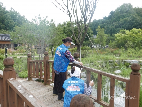 사진=안동시