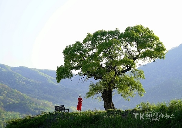 손동환 씨의 ‘사진 찍기 좋은 곳’(최우수). 사진=경북도