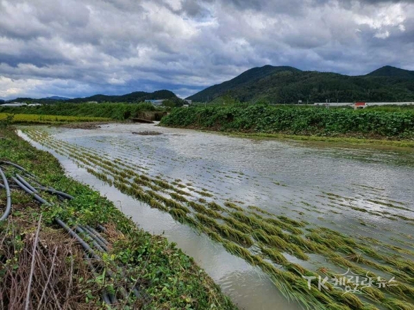 사진=경북도