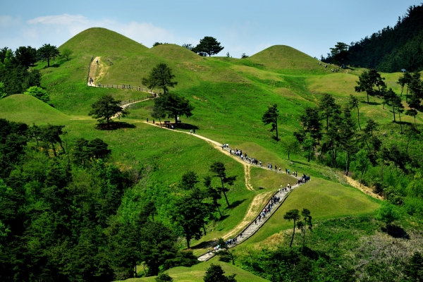 고령 지산동 고분군. 사진=경북도