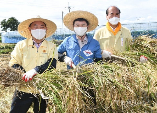 추수현장 벼베기 일손돕기. 사진=경북도