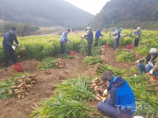 사진=경북바이오산업연구원