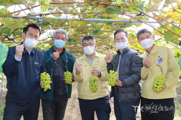 사진=예천군
