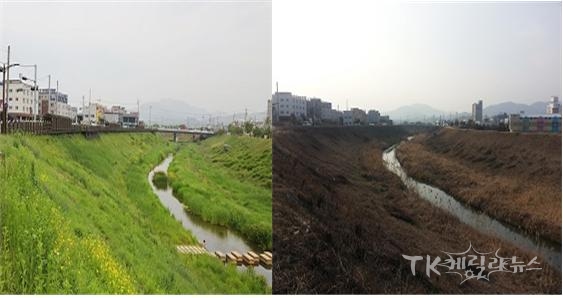 칠곡군 동정천 복구