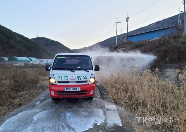 사진=청도군