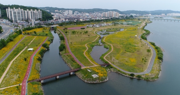 안동시 낙동강 경관초화단지 전경. 사진=안동시