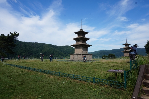 경주 감은사지 석탑 대규모 예초작업. 사진=경북도