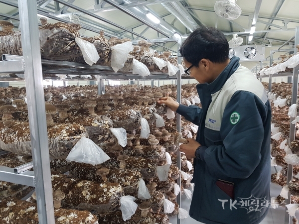 사진=경주시
