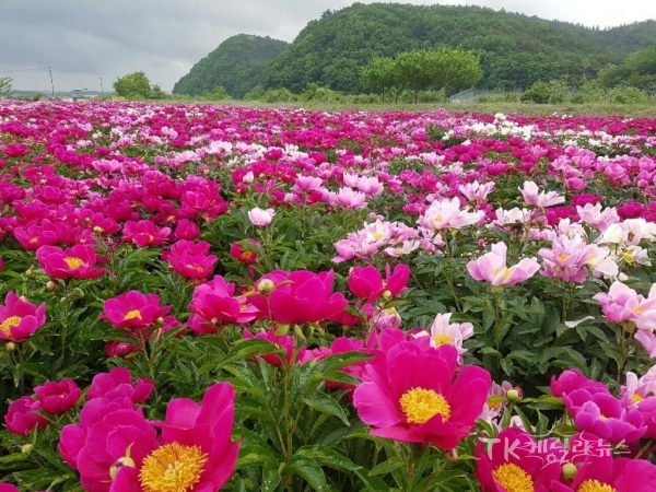 사진=영천시