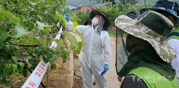 과수화상병 발생(현장조사) 사진=경북도