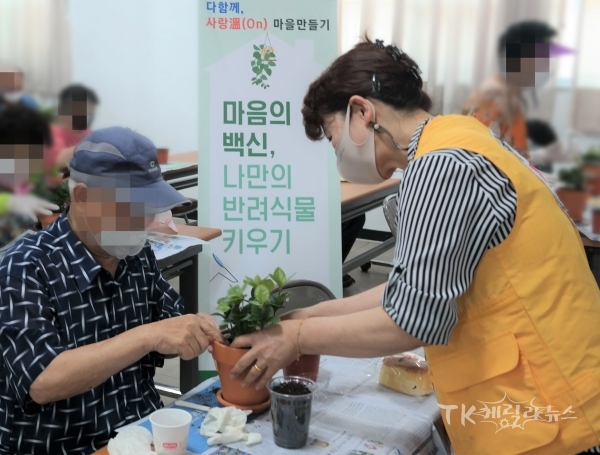 안동적십자나눔터에서 적십자 봉사원과 재난취약어르신이 함께 반려식물을 심고 있다. 사진=경북적십지사