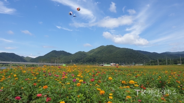 ‘산소카페 청송정원’전경.