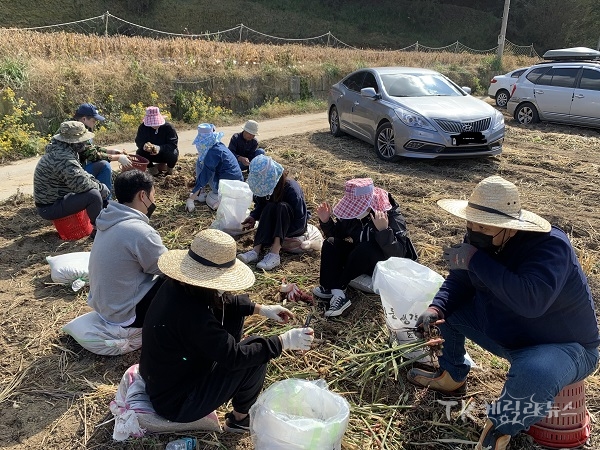 사진=경북바이오산업연구원