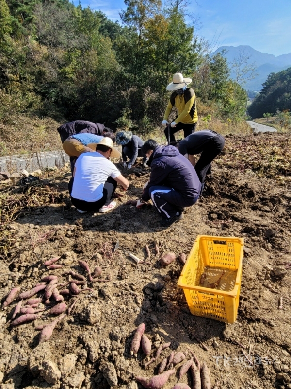 사진=경북도