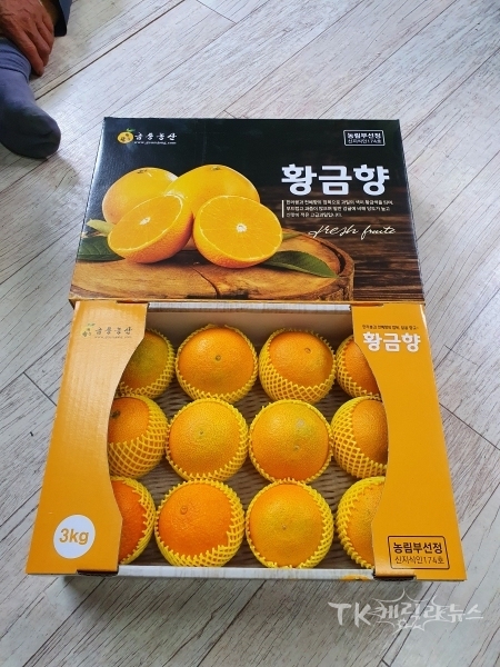 사진=경북도
