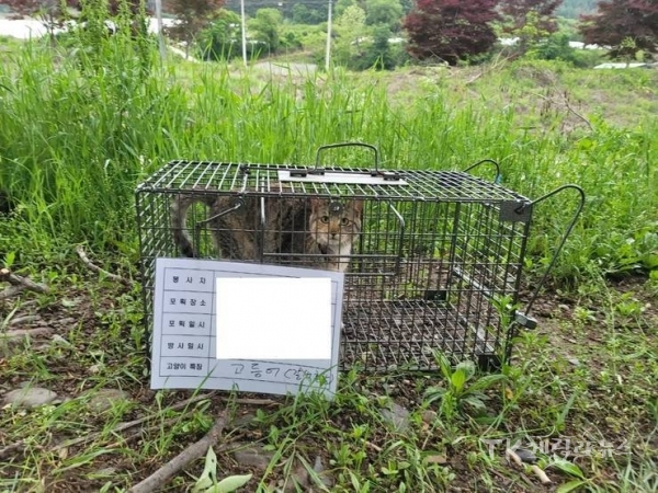 사진=영양군