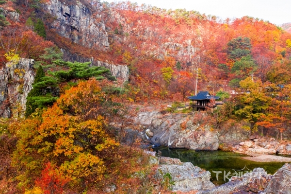 영덕군 달산면에 소재한 ‘옥계 침수정’ 사진=영덕군