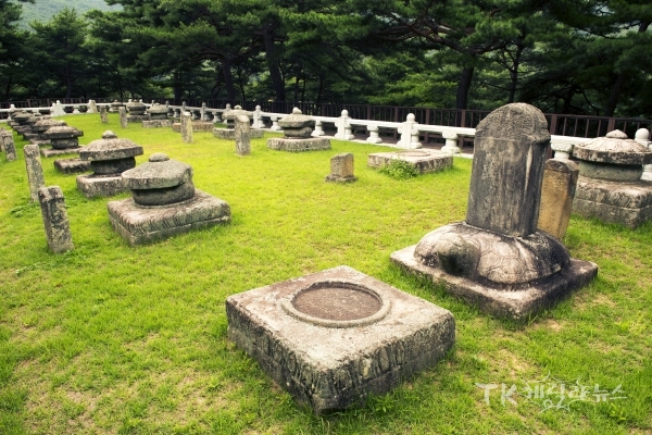 성주 세종대왕자 태실. 사진=경북도