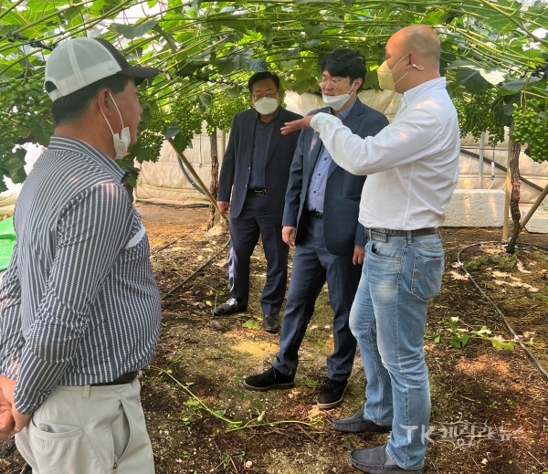 샤인머스캣 산지방문. 사진=경북도