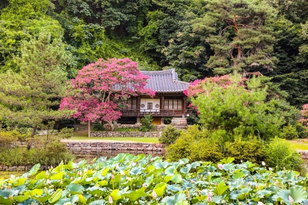 체화정. 사진=안동시