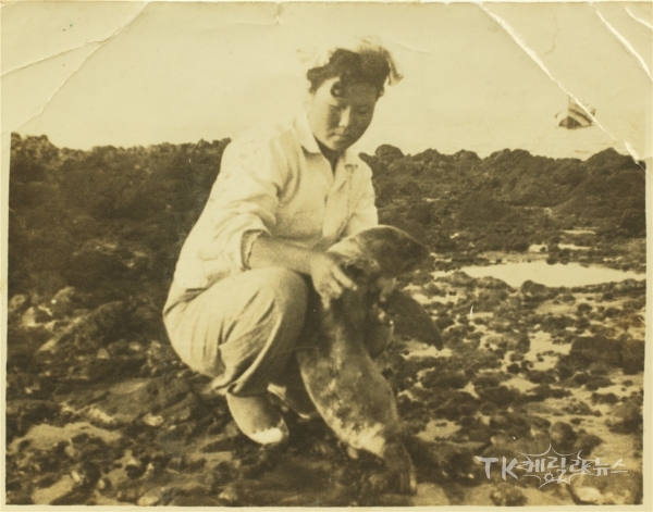 김공자 해녀와 새끼 강치(1950년대). 사진=경북도
