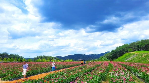 방문객들이 새롭게 단장된 안동문화관광단지를 둘러보고 있다.  사진=경북문화관광공사