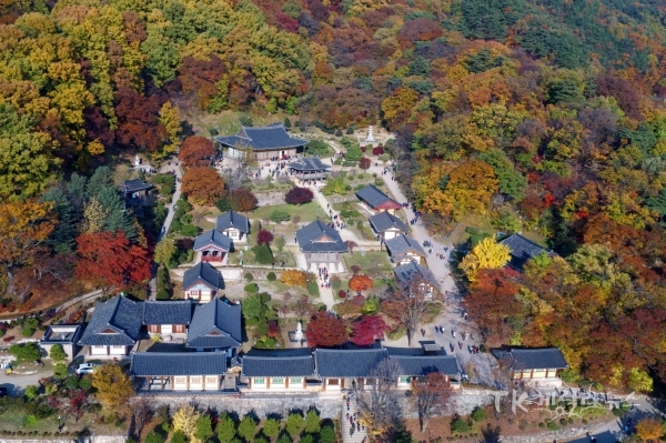 부석사 전경(가을). 사진=영주시
