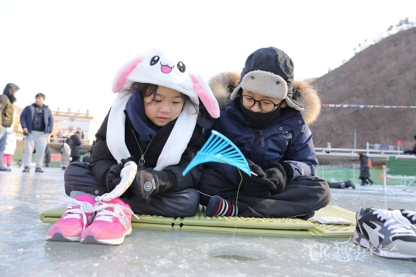 사진=안동시