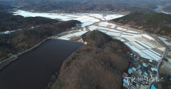의성마늘 생산단지 전경. 사진=경북도