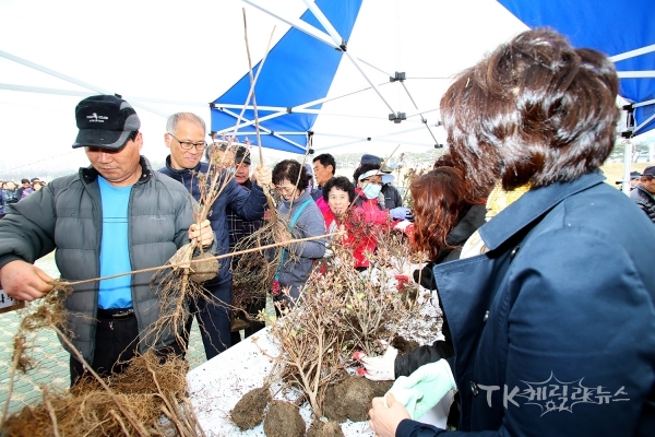 사진=안동시